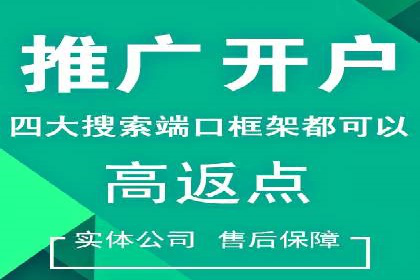 SEM实战案例：案例分析关键词竞争